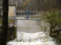 Estacion Oskotz Forestal